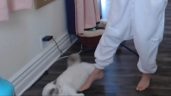 Imane 'Pokimane' Anys