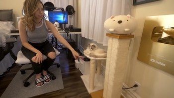 Imane 'Pokimane' Anys