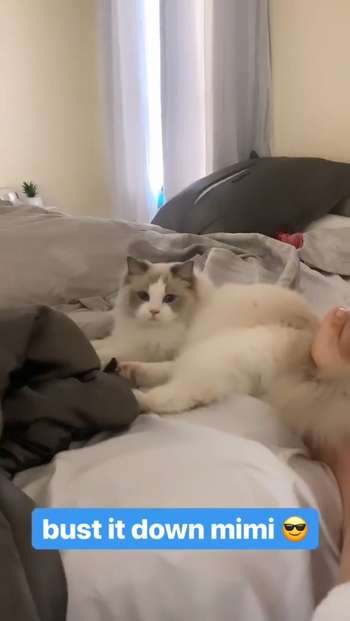 Imane 'Pokimane' Anys