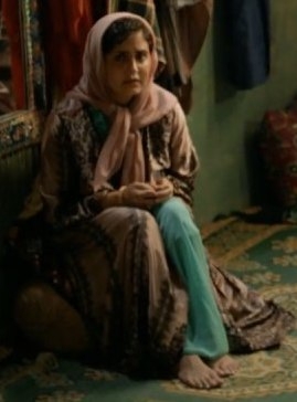 Elnaz Shakerdoost