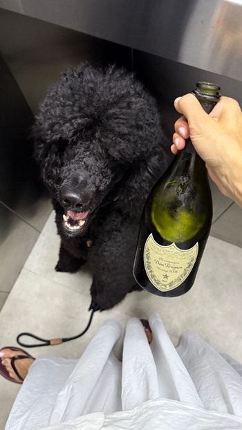 Lívia Nunes Marques