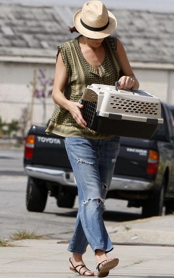 Kate Walsh