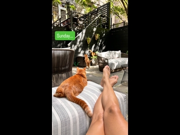  alt="Kate Walsh"