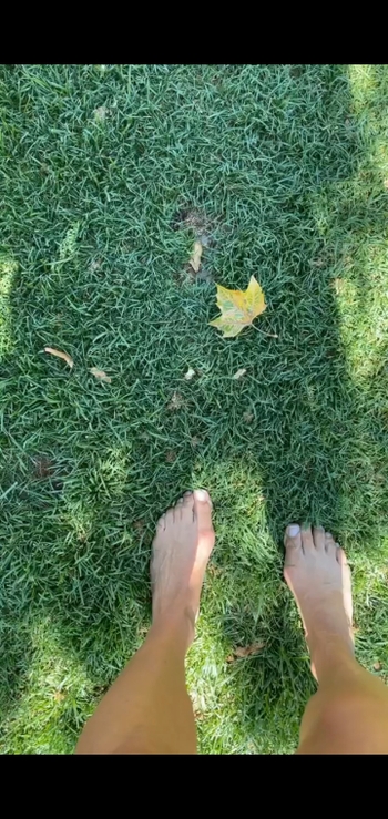 Kate Walsh