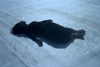 Joan Wasser