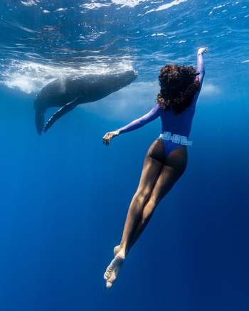 Ariadna Hafez Navarro