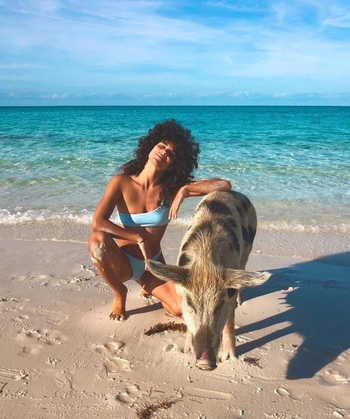 Ariadna Hafez Navarro