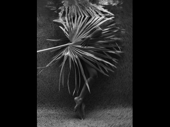  alt=