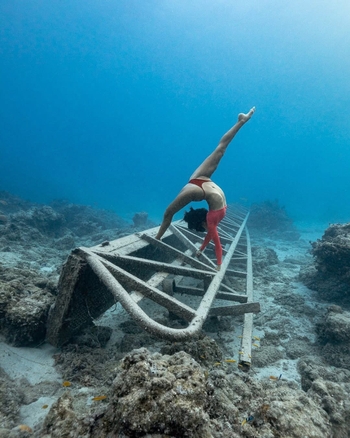 Ariadna Hafez Navarro