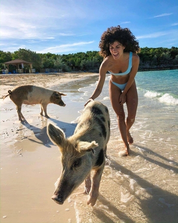 Ariadna Hafez Navarro