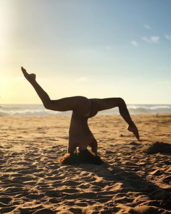 Ariadna Hafez Navarro