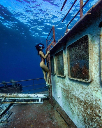 Ariadna Hafez Navarro