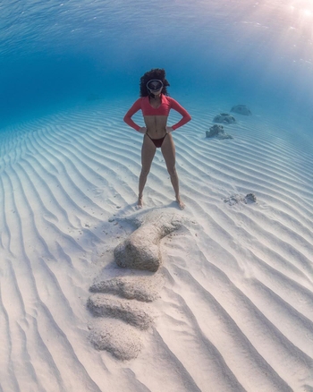 Ariadna Hafez Navarro