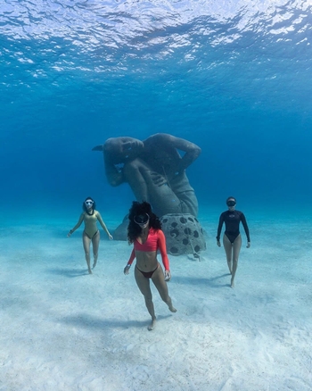 Ariadna Hafez Navarro