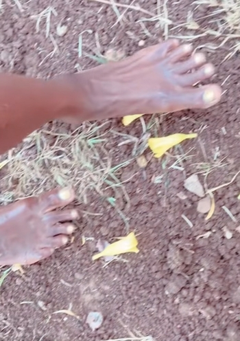 Dola Rashad