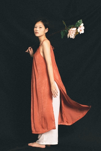 Nguyen Minh Ha