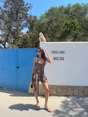 Thao Nhi Le