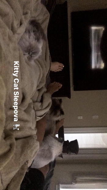 Nattie Neidhart