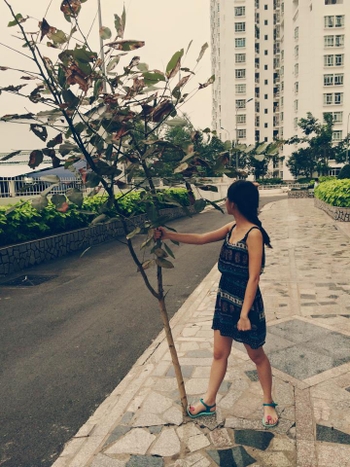 Xuân Nghi