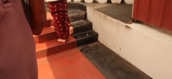 Biksi Biljana Petrovic