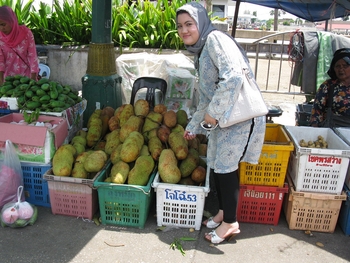 Raja Tengku Putri Anis