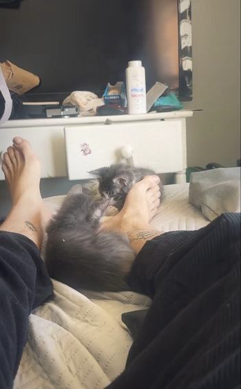 Francisco Dañobeitía