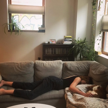 Rose-Aimée Automne T. Morin