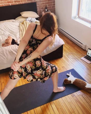 Rose-Aimée Automne T. Morin