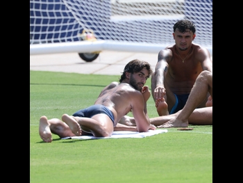  alt="Ferran Torres"