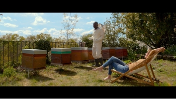 Clémentine Célarié