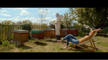 Clémentine Célarié