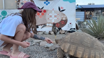 Kristina Rybalchenko