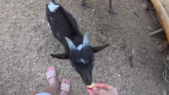 Kristina Rybalchenko