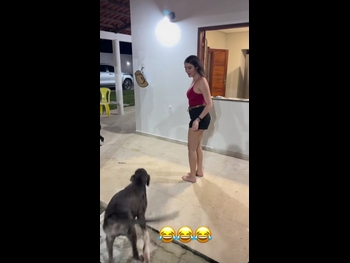  alt="Leticia Cerqueira"