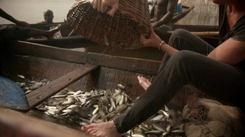 Alexandra Alévêque