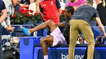 Gael Monfils