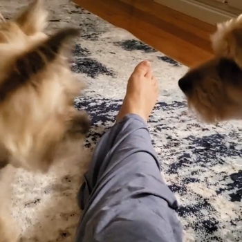 Gina Marie Rodriguez