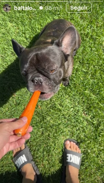 Baltasar López Barraza