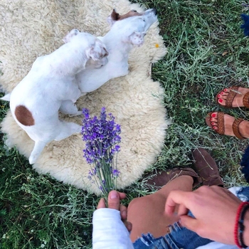 Anastasiya Mikulchina