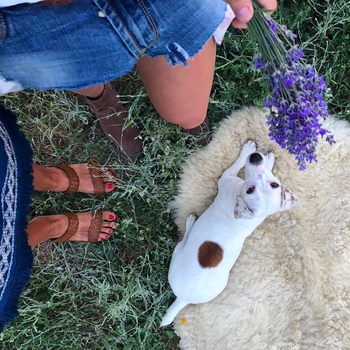 Anastasiya Mikulchina