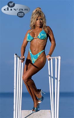 Terri Runnels