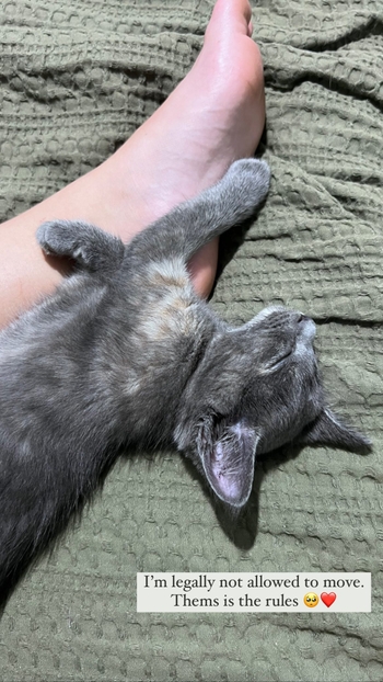 Alla Hand