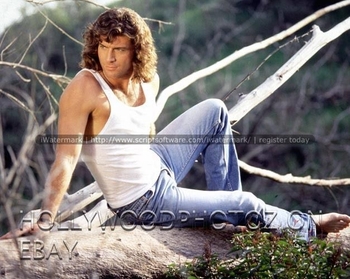 Joe Lando