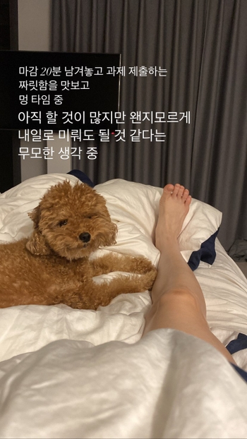Jin-hee Kim