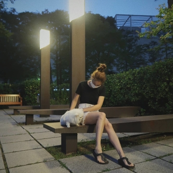 Jin-hee Kim