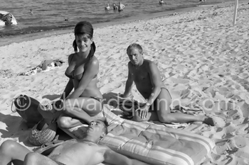 Sylvia Sorrente