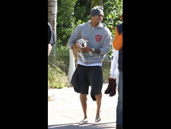  alt="Chris Brown"