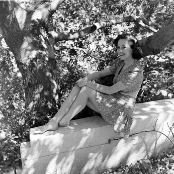 Teresa Wright