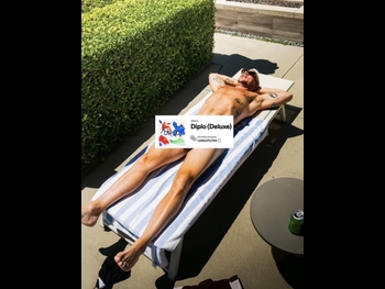  alt="Diplo"